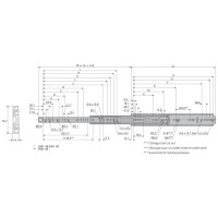 Guia extraible telescopica DZ9301 (par)