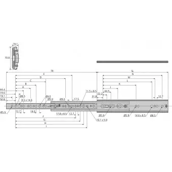 Guia extraible telescopica DZ7957 (par)