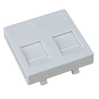 Placa 45 x 45 doble RJ45 con ventana