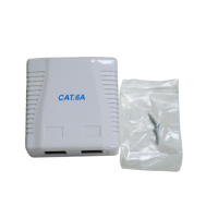 Roseta de superficie 2 X RJ45 CAT6A FTP con tornillería