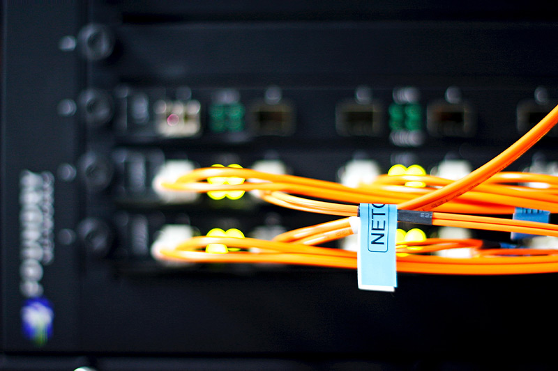 Elegiste bien tu cable Ethernet? Descubre las claves para tomar la decisión